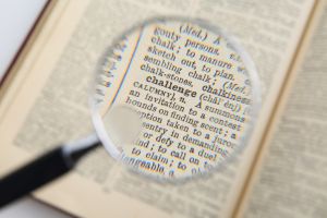 Oppositions & Litigation Support